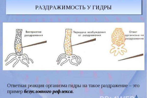 Кракен точка ат